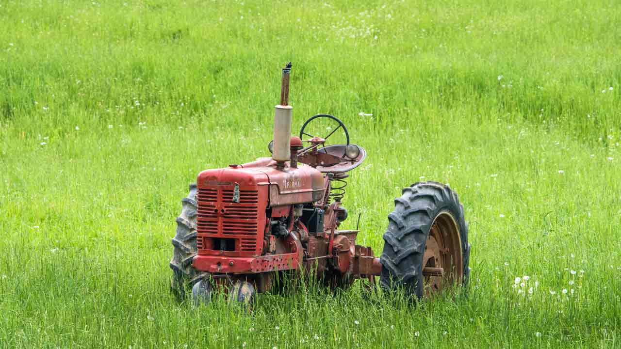 Read more about the article Cutting Grass And Brush Hogging