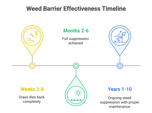 Weed Barrier Timeline